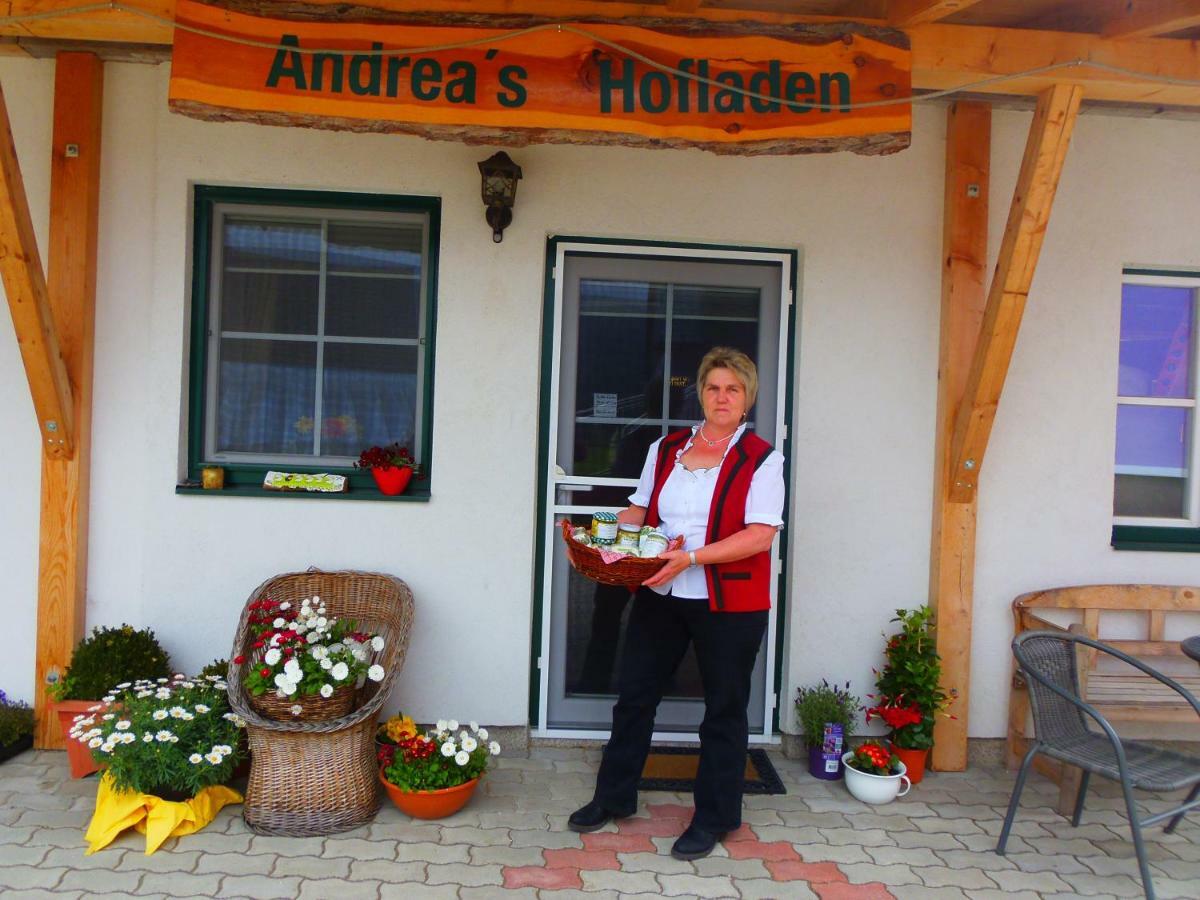 Ferienwohnung Andrea Bad Mitterndorf Exterior photo