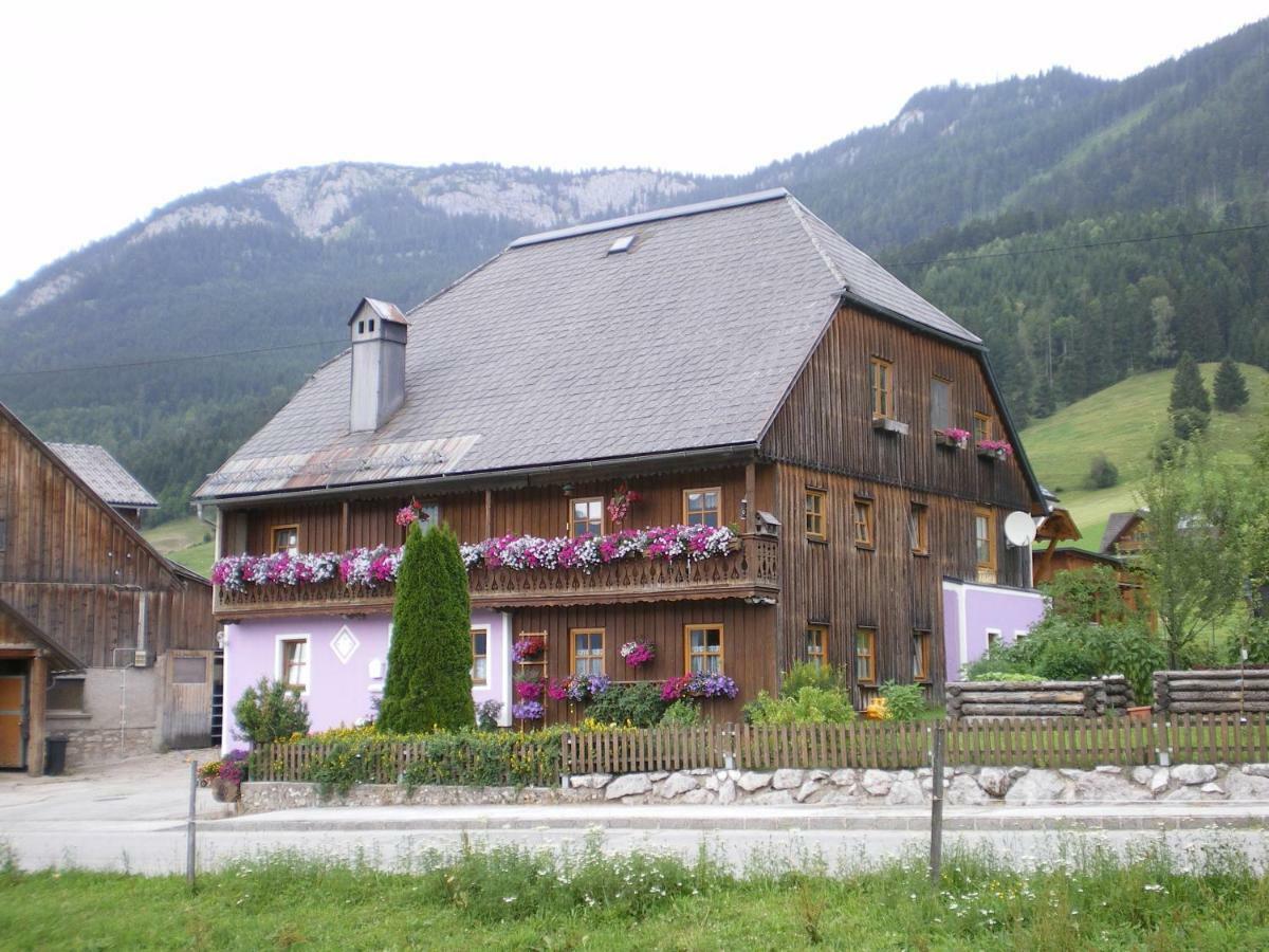 Ferienwohnung Andrea Bad Mitterndorf Exterior photo